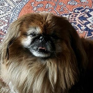 Meet your Posher, Brian